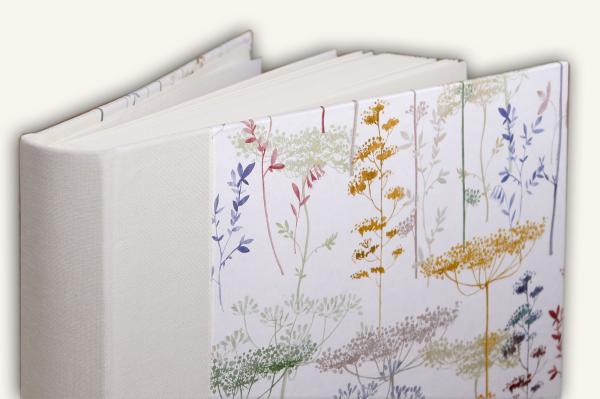 Photo album nature, delicate plants on white background